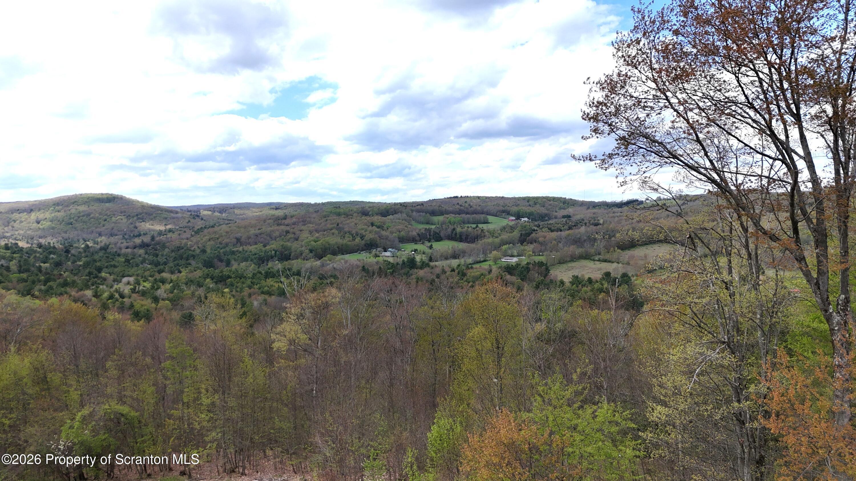 325 Lyons Road Hallstead, PA 18822 - Photo 49 of 56 DJI_20250815031104_0010_D