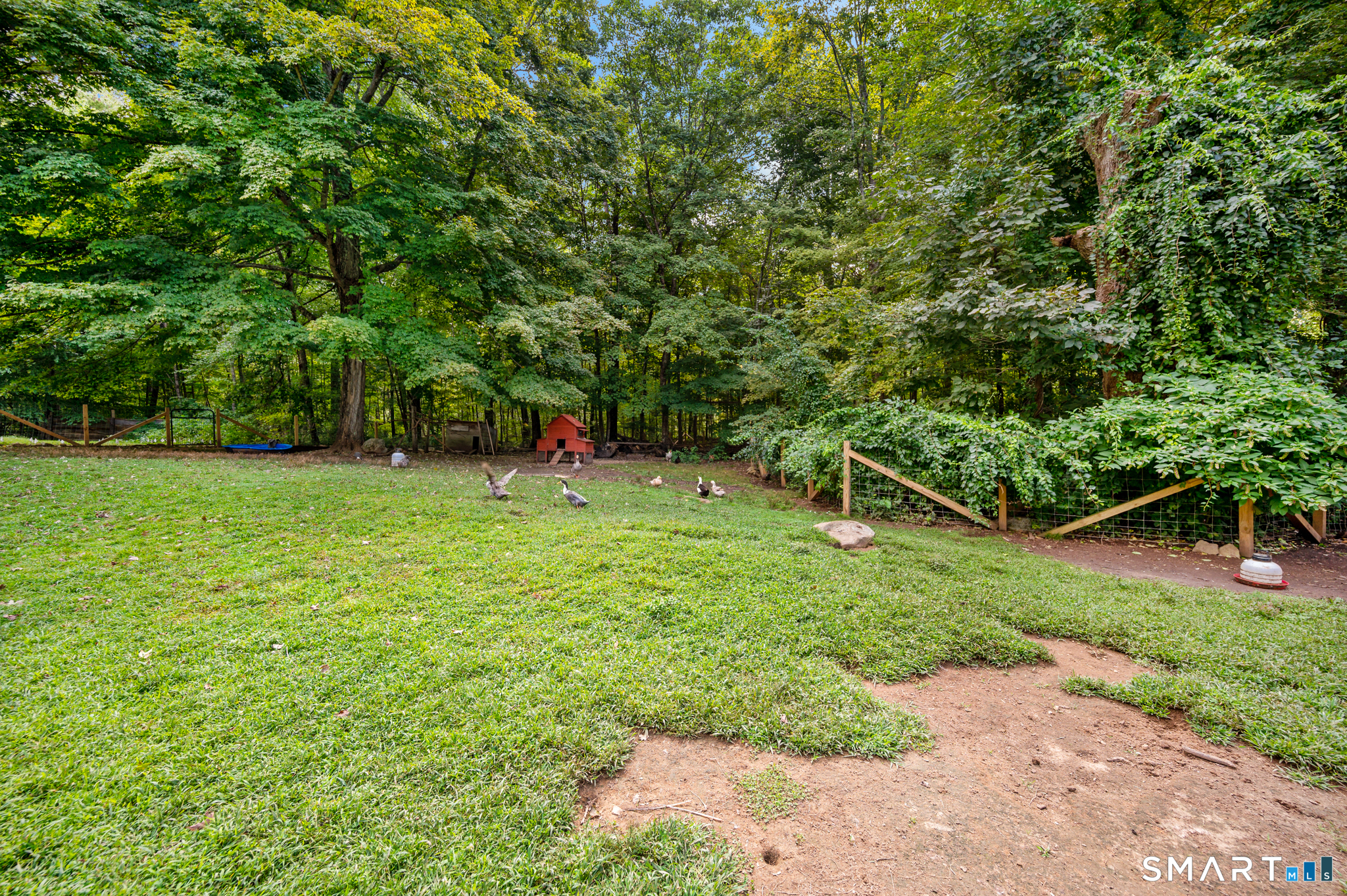 36 Nollett Road Chaplin, CT 06250 - Photo 11 of 34 Gallery Image 11