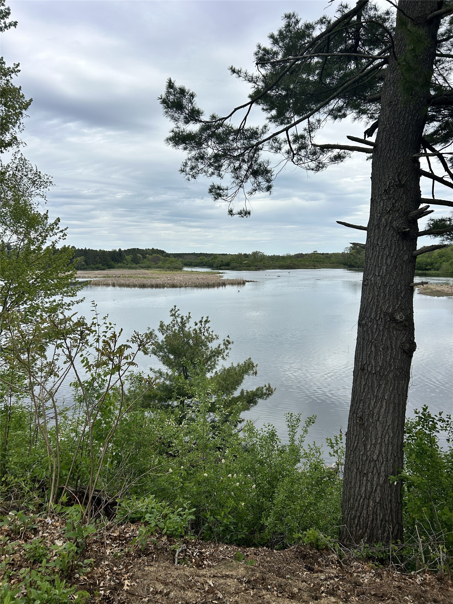 .65-acres 21st Street Rice Lake, WI 54868 - Photo 23 of 33