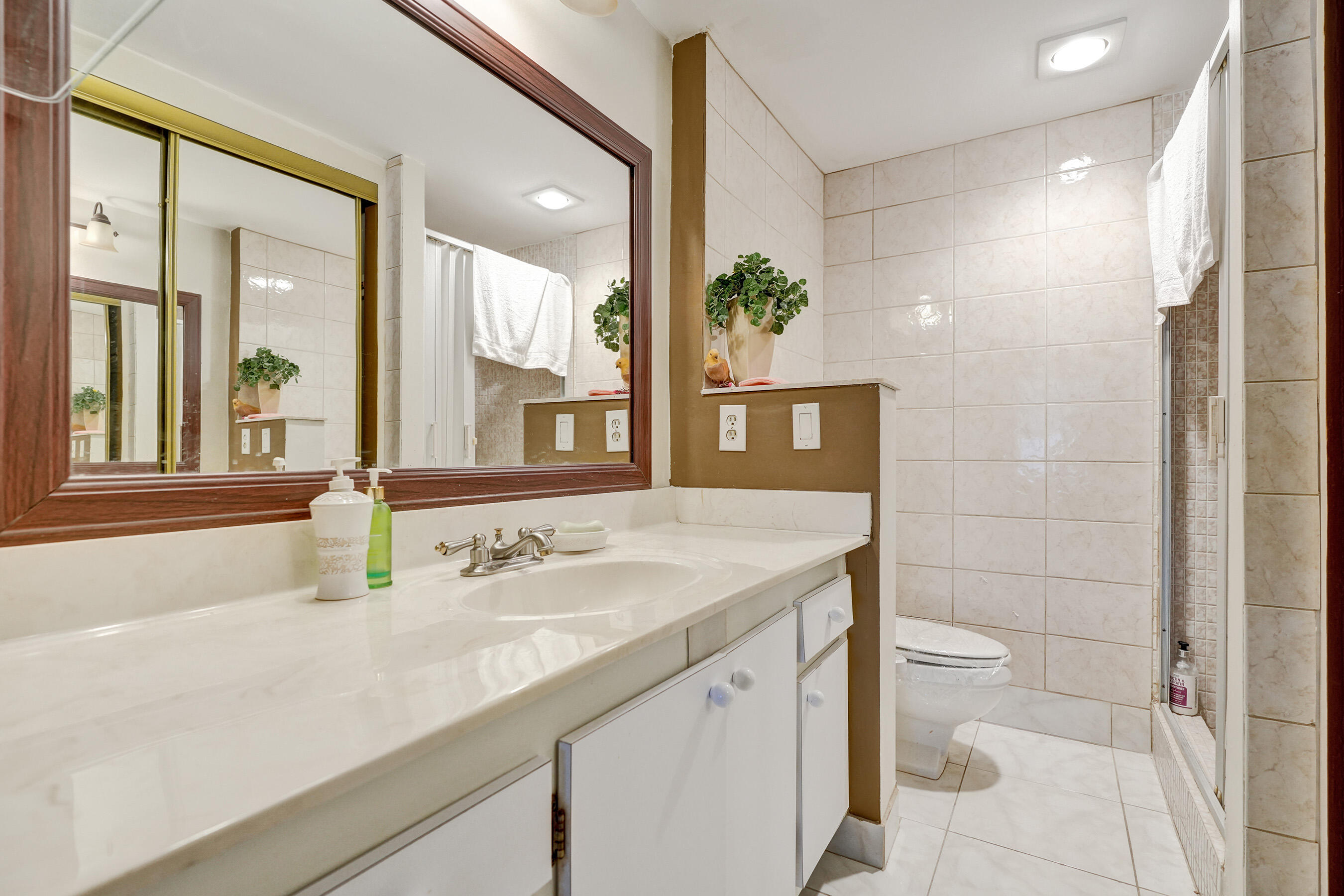 250 Northeast 20th Street, Unit 5060 Boca Raton, FL 33431 - Photo 21 of 36 a bathroom with a sink and a mirror