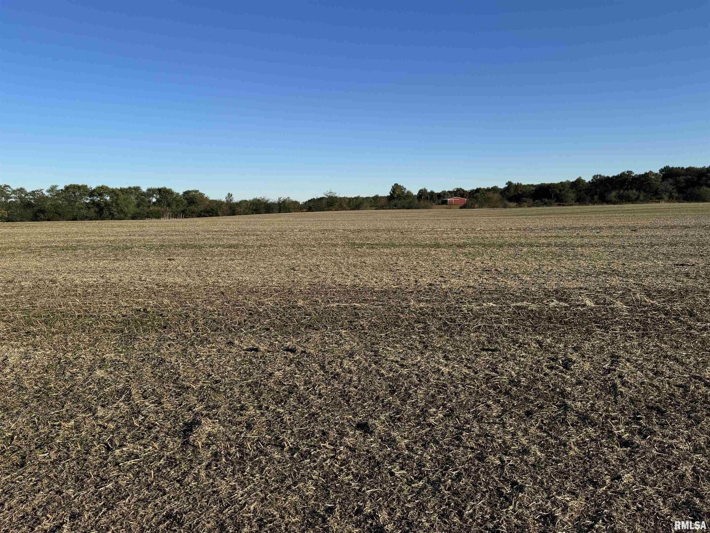 0 County Road 2100 N County Road Cisne, IL 62823 - Photo 17 of 20