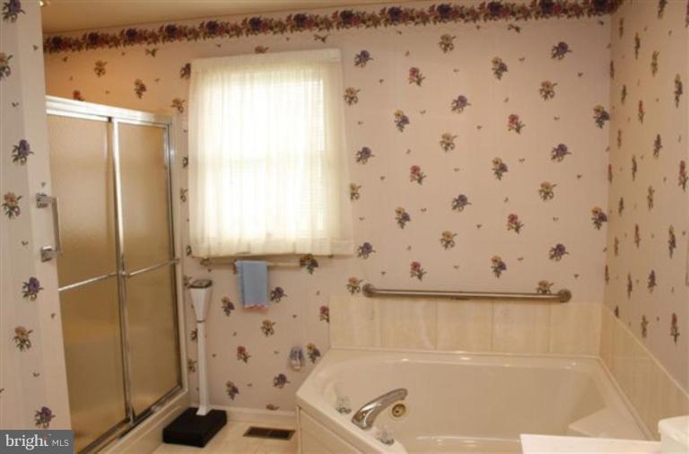3910 Sharp Road Glenwood, MD 21738 - Photo 9 of 16 Master Bath