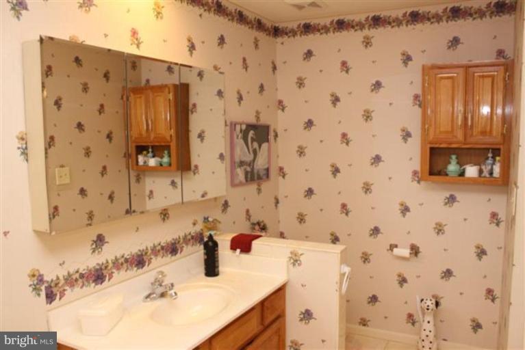 3910 Sharp Road Glenwood, MD 21738 - Photo 10 of 16 Master Bath #2