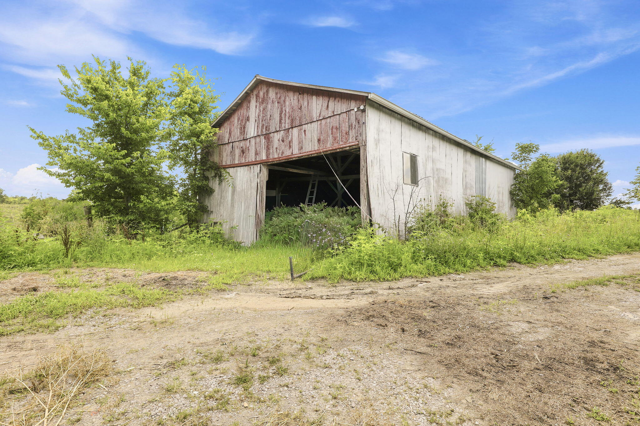 525 Chipman Ridge Road Williamstown, KY 41097 - Photo 40 of 49 49-web-or-mls-49-print-_B6A0706