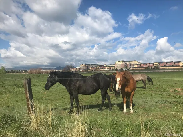 $435,000 | 13462 Via Varra, Broomfield, CO 80020