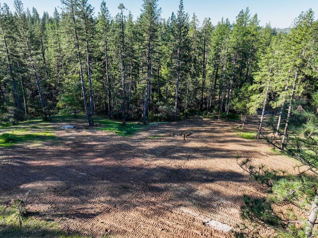 13279 Thoroughbred Loop Grass Valley, CA 95949 - Photo 16 of 33 a backyard of a house with lots of green space