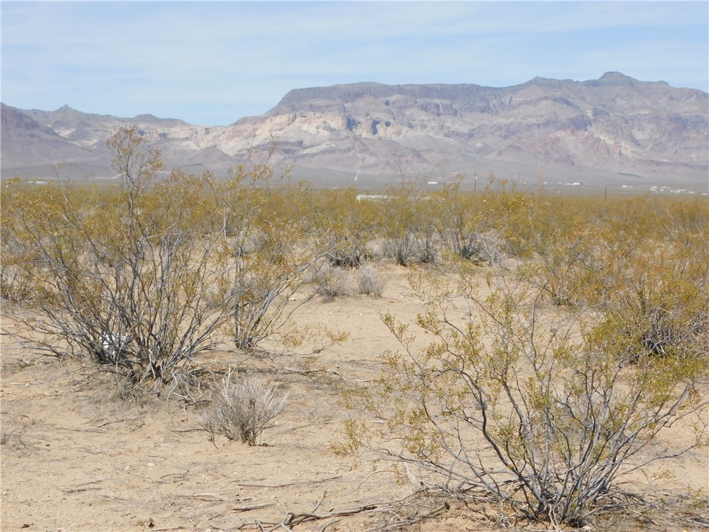 2-lots South Manzanita Road Golden Valley, AZ 86413 - Photo 4 of 29 View