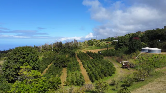 $256,500 | 14 Lot, Captain Cook, HI 96704