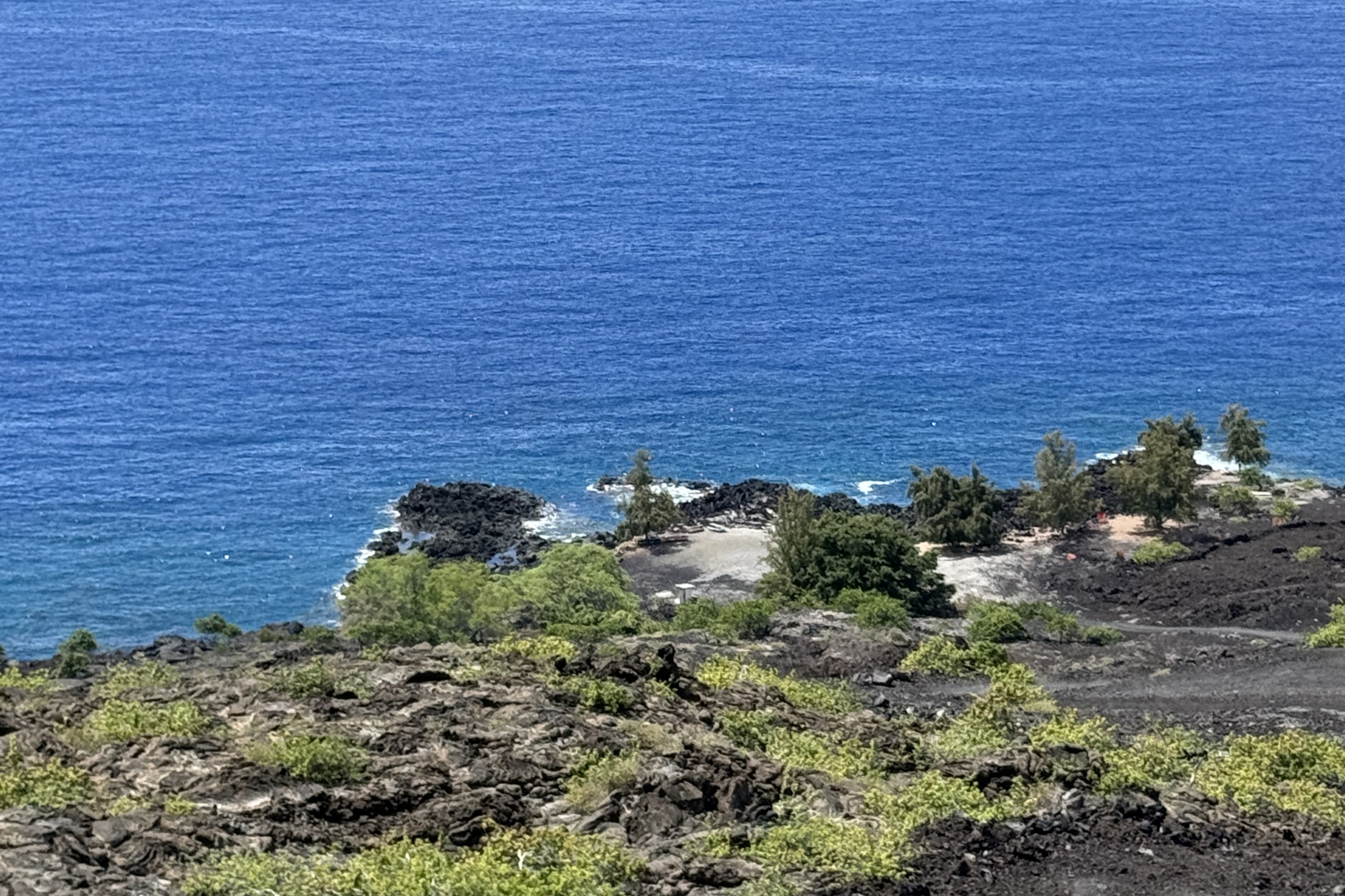 14 Lot Captain Cook, HI 96704 - Photo 6 of 13 a view of a plants and an outdoor space