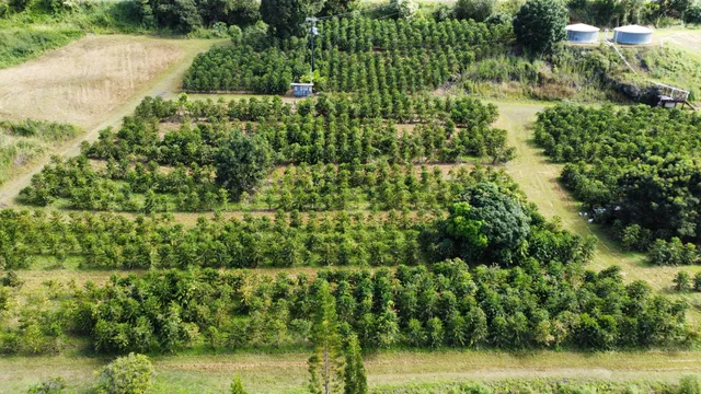 a view of a yard with an empty space
