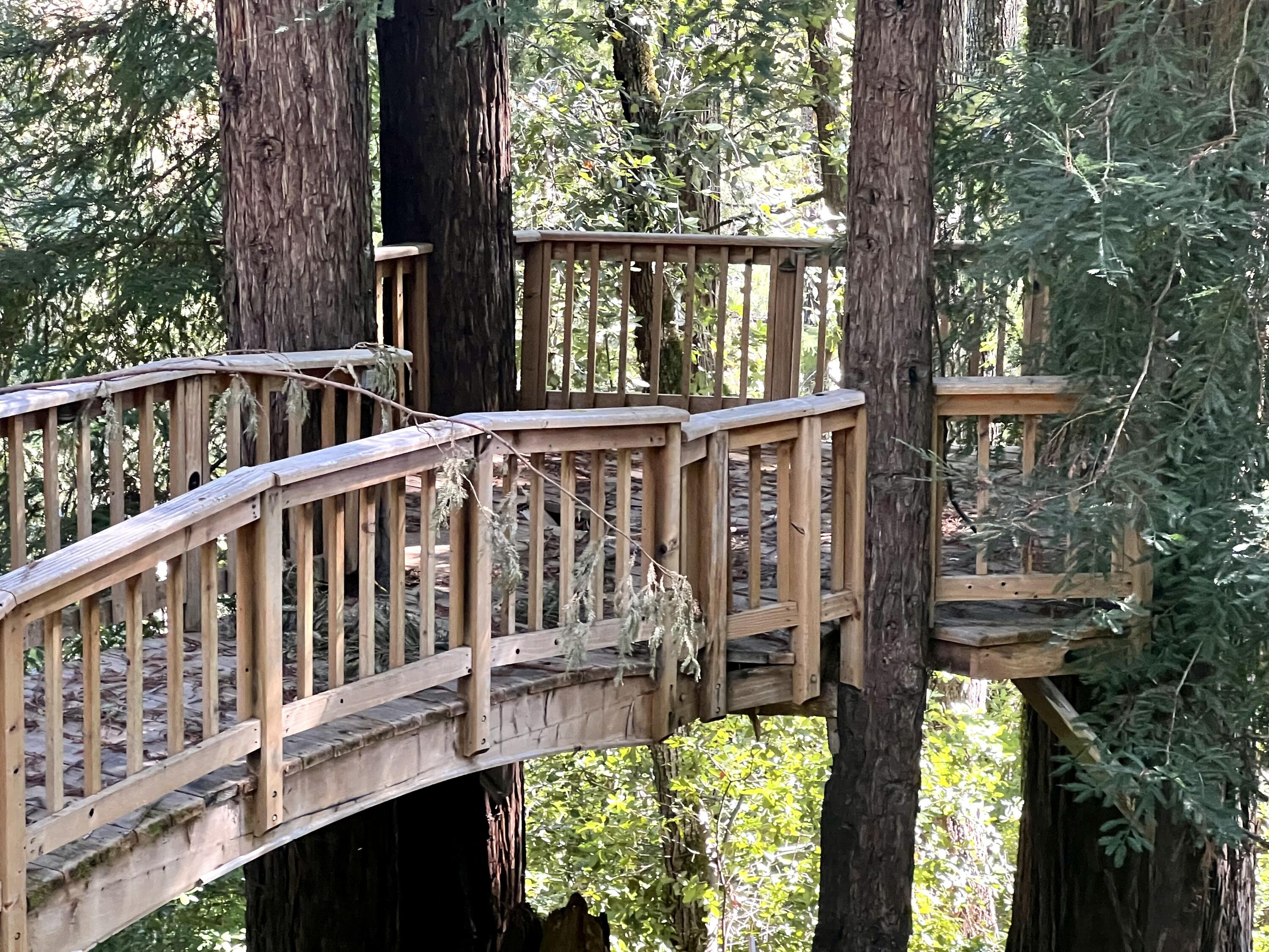 2400 Twin Trees Road Garberville, CA 95542 - Photo 52 of 56