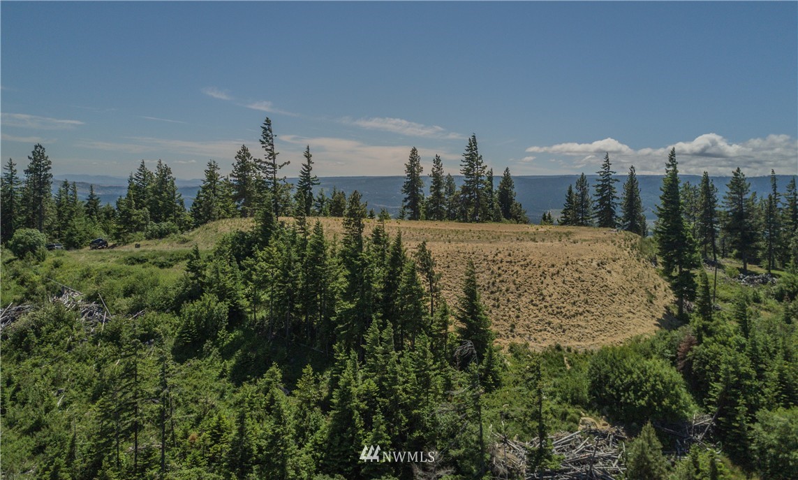 2880 Forest Ridge Drive Cle Elum, WA 98922 - Photo 3 of 5 Gallery Image 3