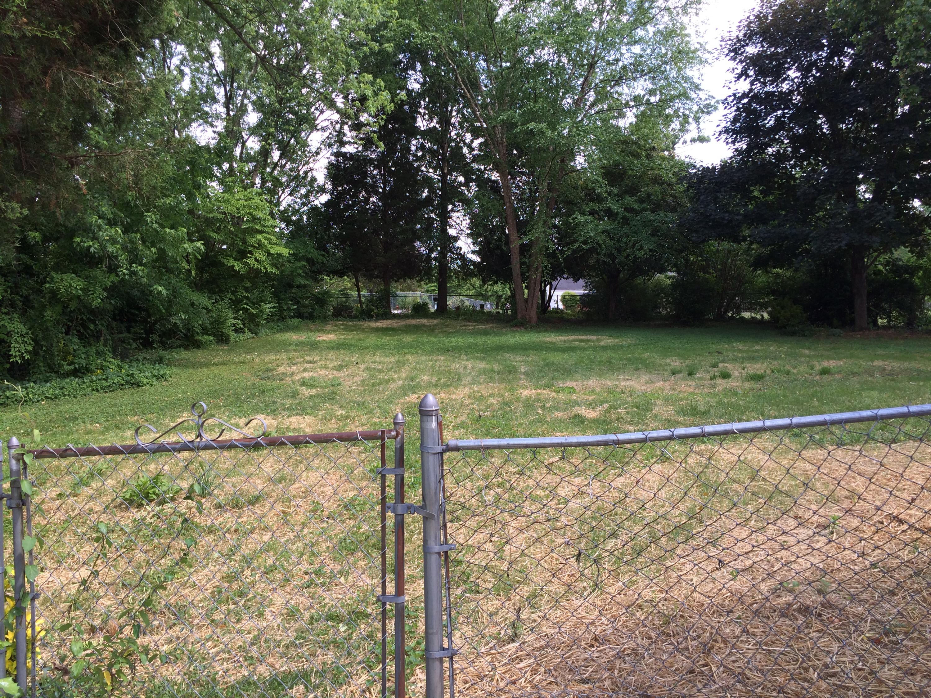 5404 Bluefield Road Knoxville, TN 37921 - Photo 2 of 3 2015-05-15 15.36.23