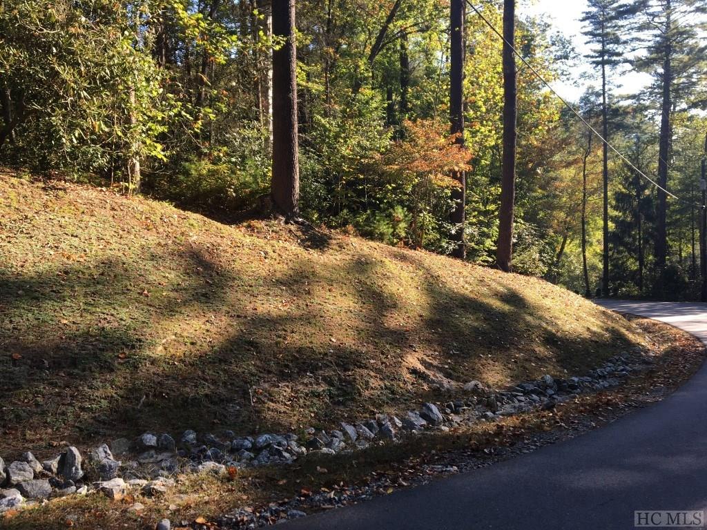 72 Rushing Brook Lane Cashiers, NC 28717 - Photo 8 of 9 Gallery Image 8