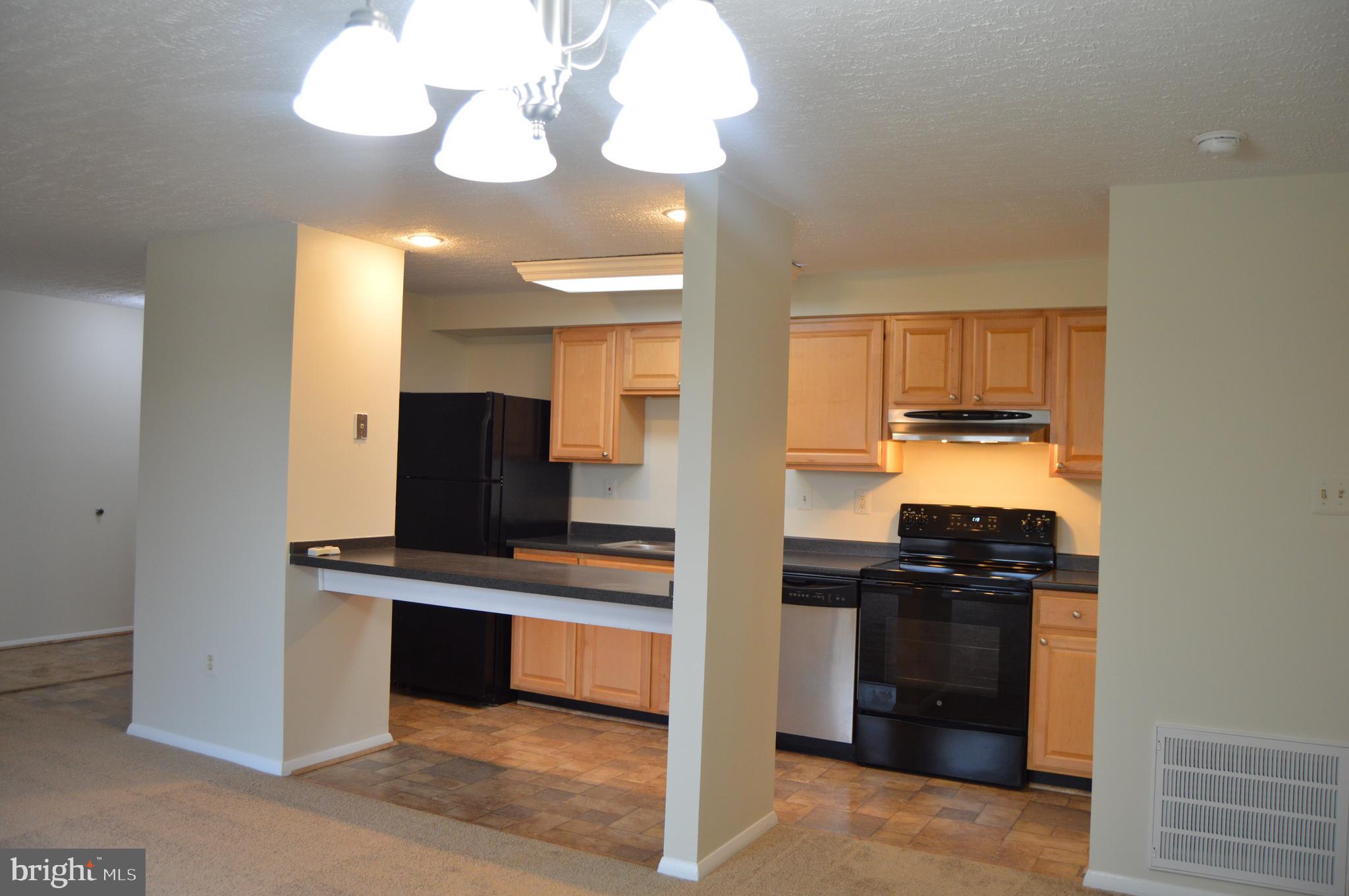 Open Concept Kitchen