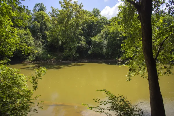 $488,506 | 1553 Oak Springs Drive, Columbia, TN 38401
