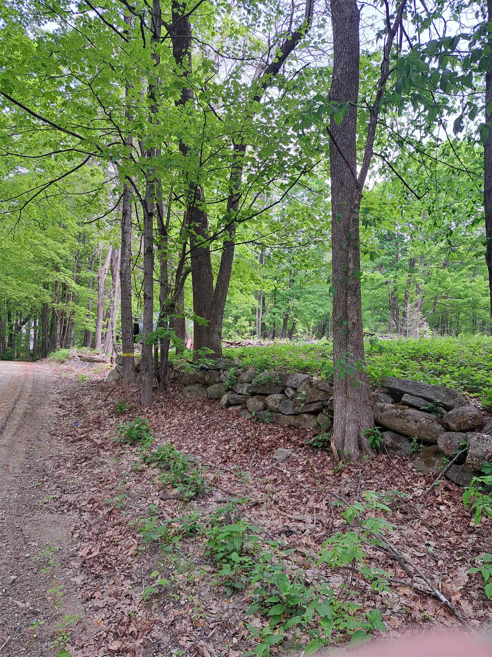 81 Hart Farm Road Deering, NH 03244 - Photo 16 of 17