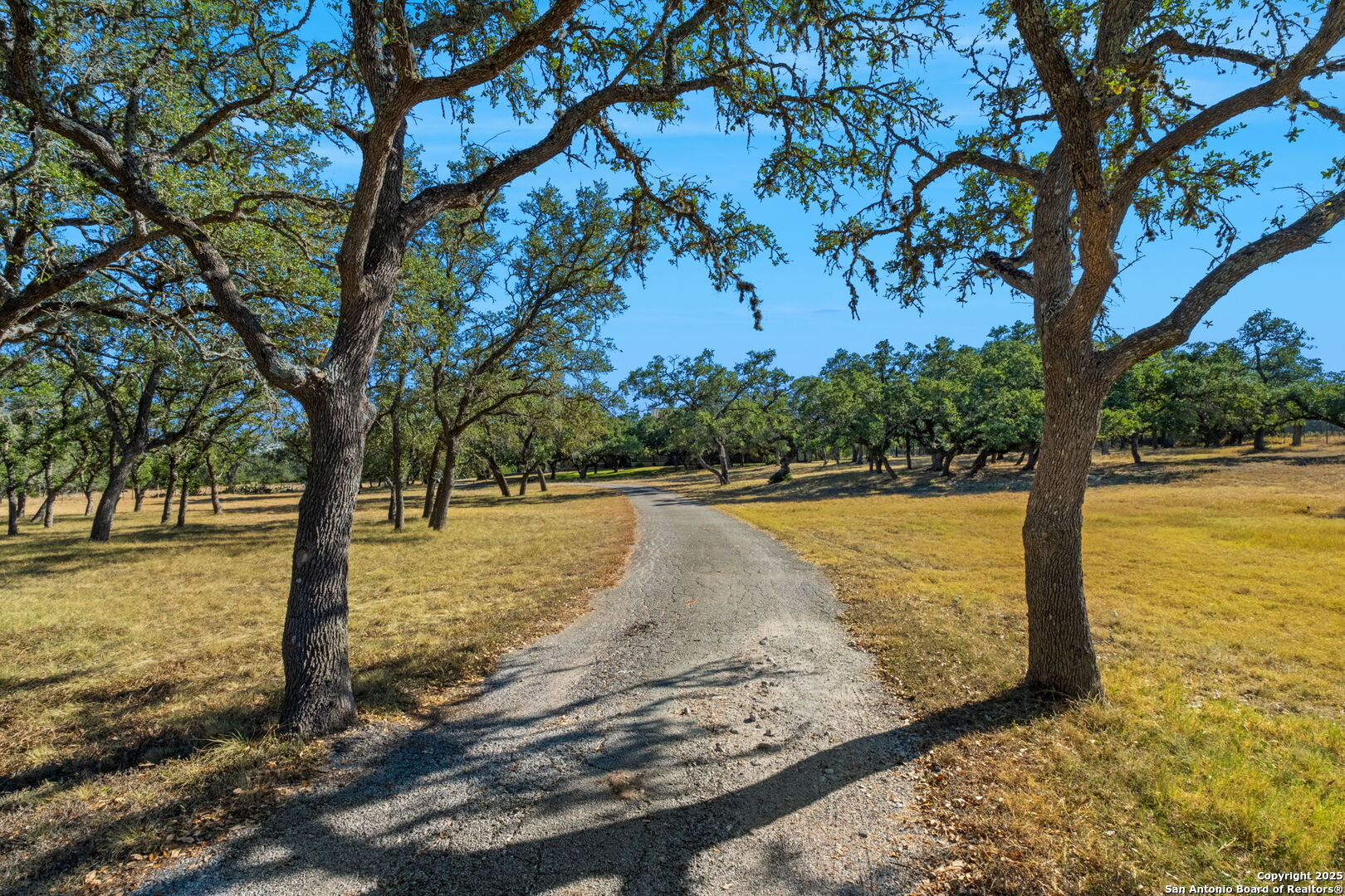 4708 Ammann Road Bulverde, TX 78163 - Photo 3 of 49