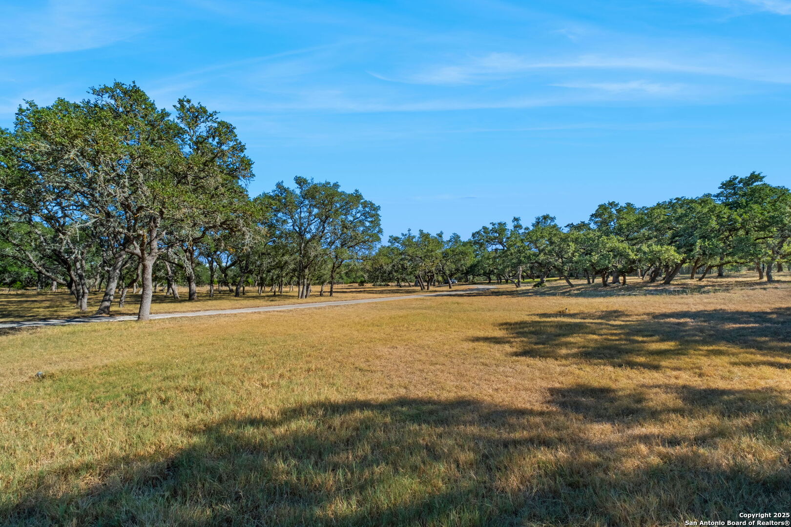 4708 Ammann Road Bulverde, TX 78163 - Photo 4 of 49