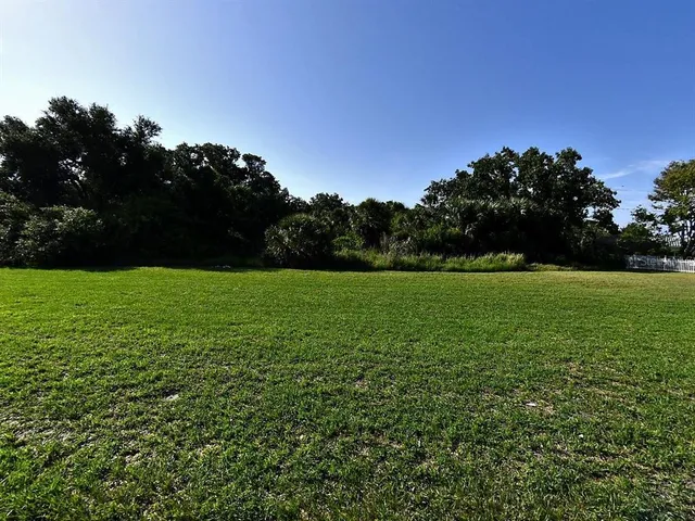 a view of a field of grass and trees