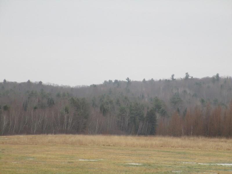Tbd Line Road Greene, ME 04236 - Photo 4 of 10 Photo