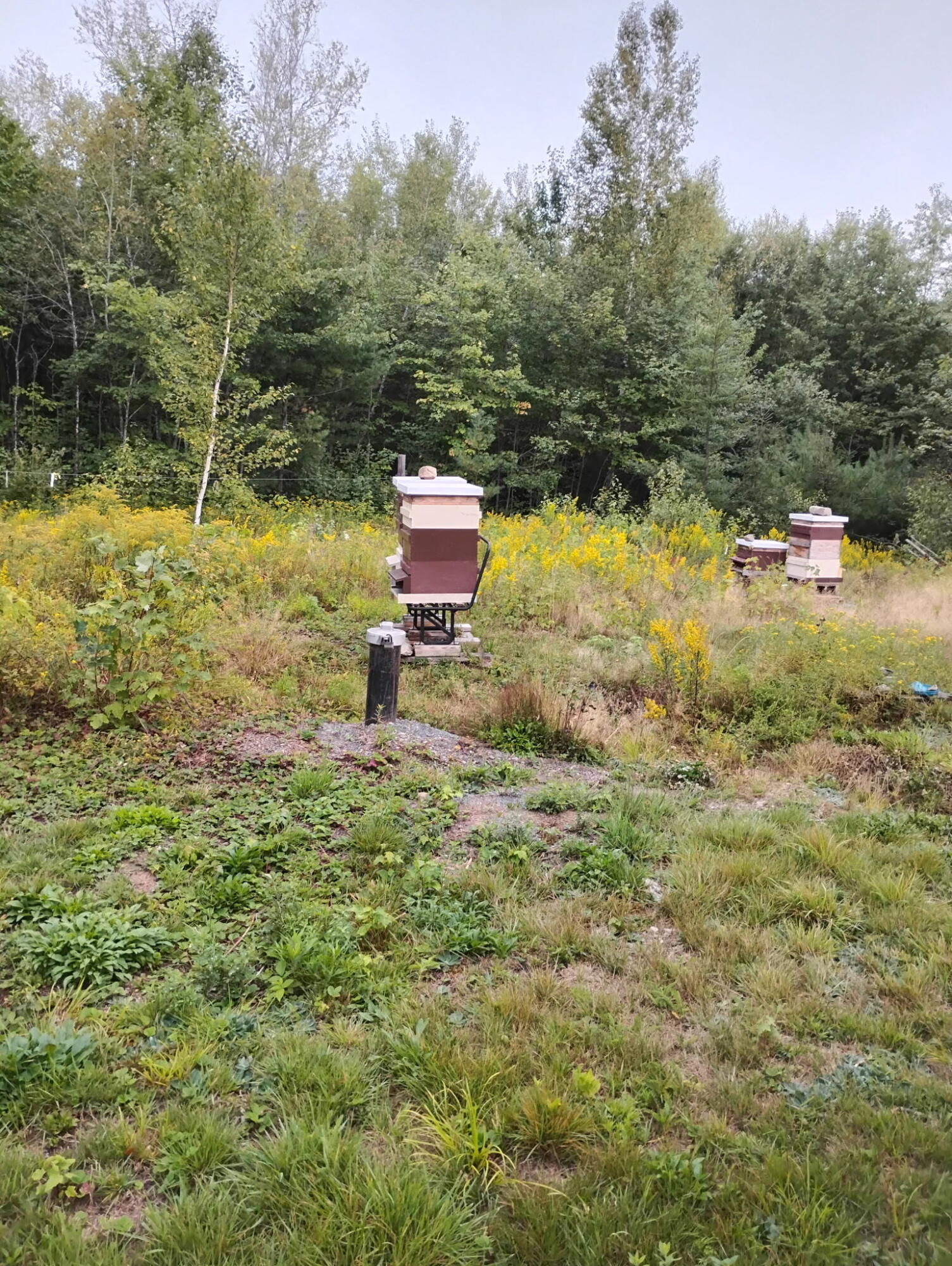 511 Kingman Road Kingman, ME 04451 - Photo 9 of 25 6992125419175650532