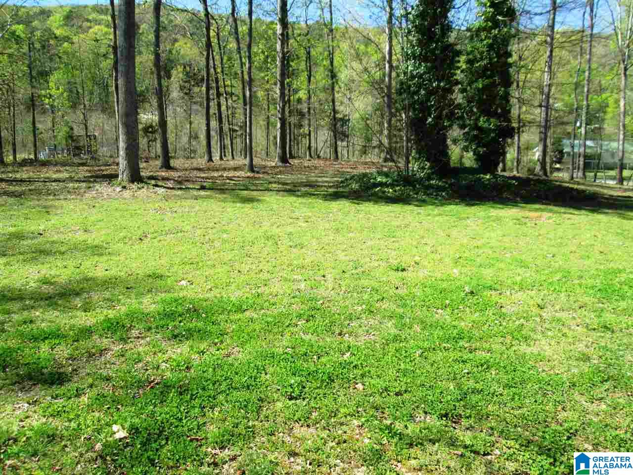 5550 Crawford Cove Road Steele, AL 35987 - Photo 5 of 36