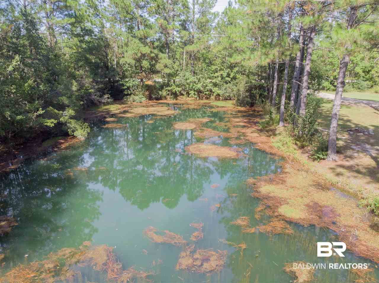 18424 County Road 16 Foley, AL 36535 - Photo 10 of 21