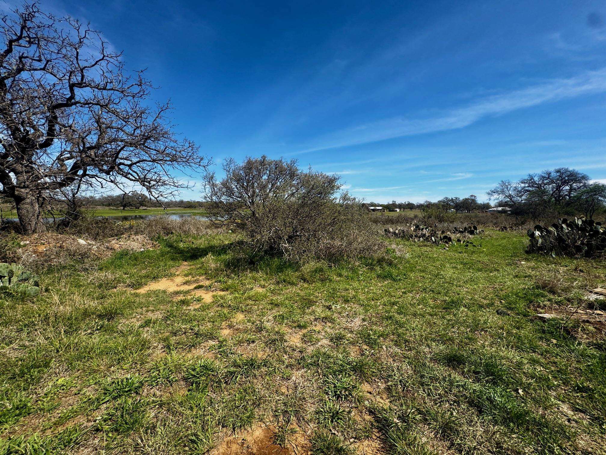 6410 Gray Road Valley Spring, TX 76885 - Photo 30 of 31 a view of a field with an ocean