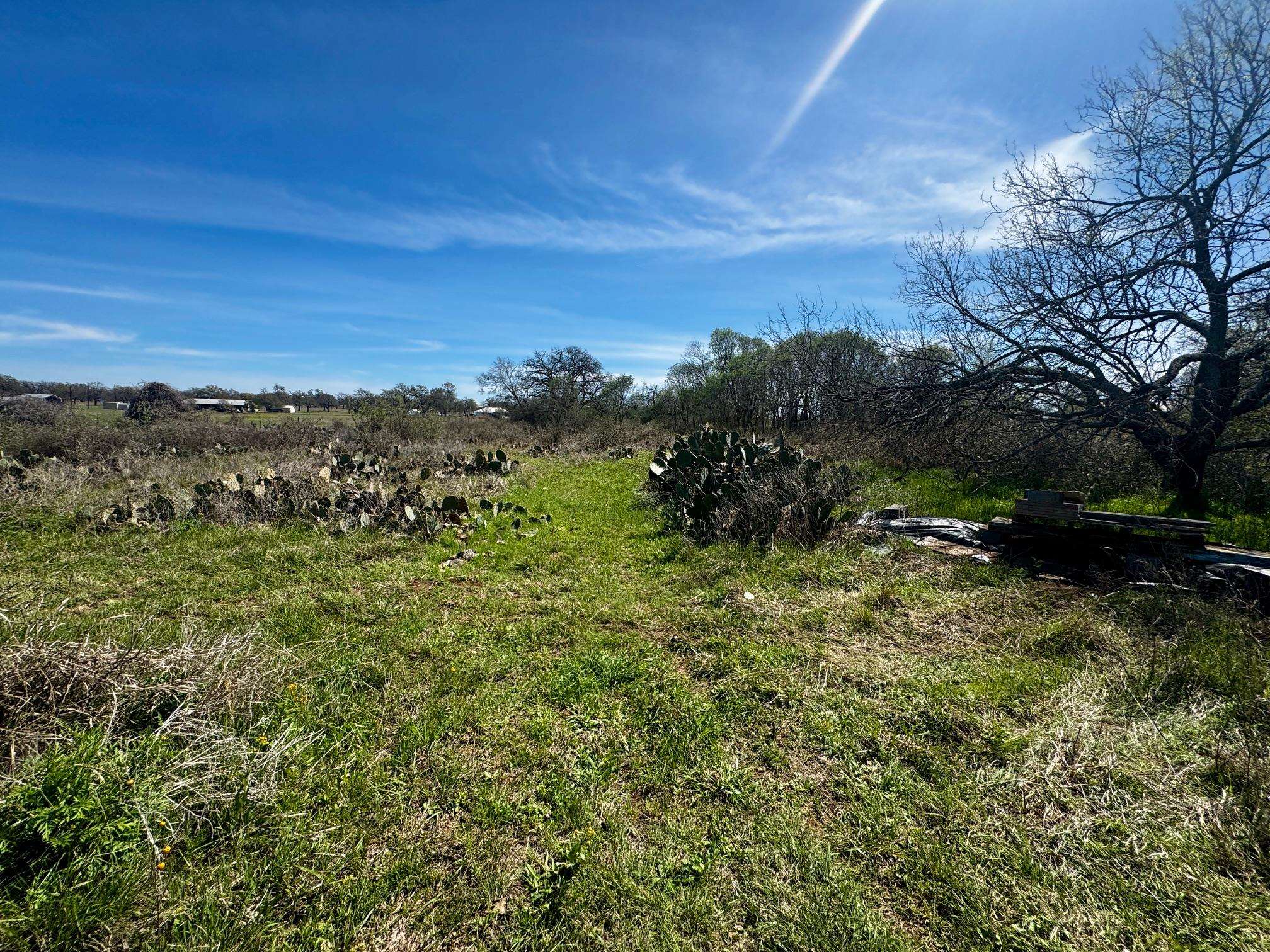 6410 Gray Road Valley Spring, TX 76885 - Photo 31 of 31 a view of a large yard with lots of green space