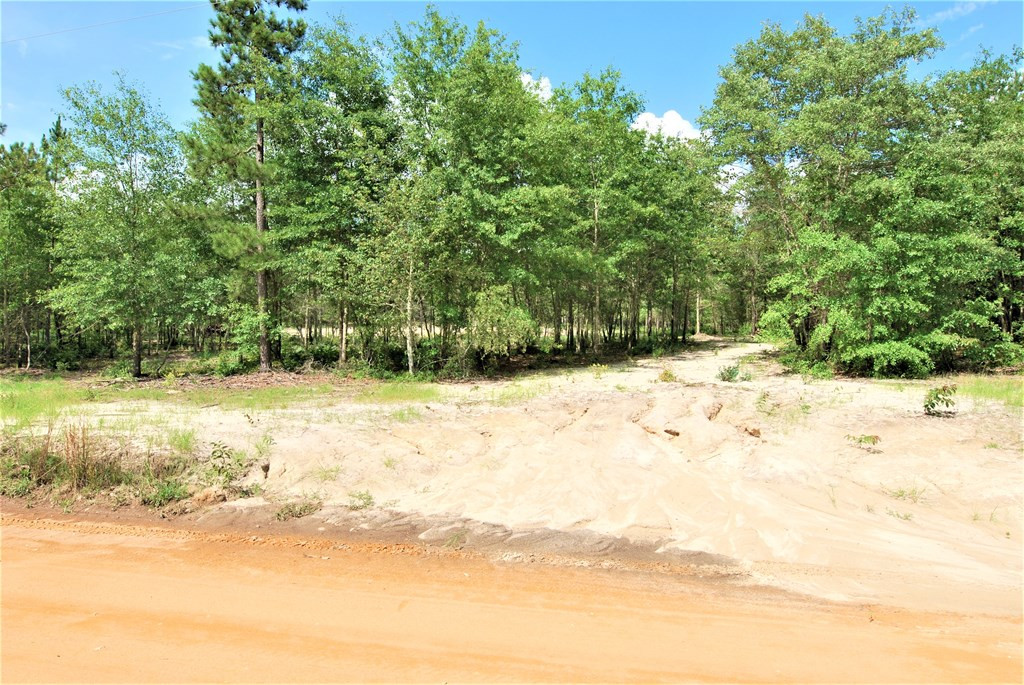 6 Sable Lane Trenton, SC 29847 - Photo 11 of 15