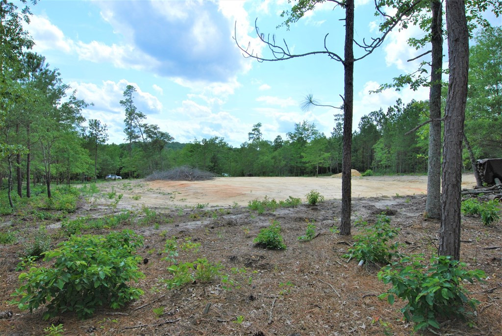 6 Sable Lane Trenton, SC 29847 - Photo 3 of 15