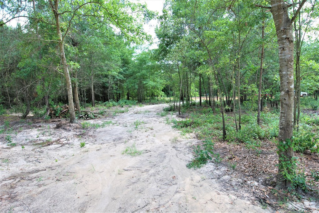 6 Sable Lane Trenton, SC 29847 - Photo 8 of 15