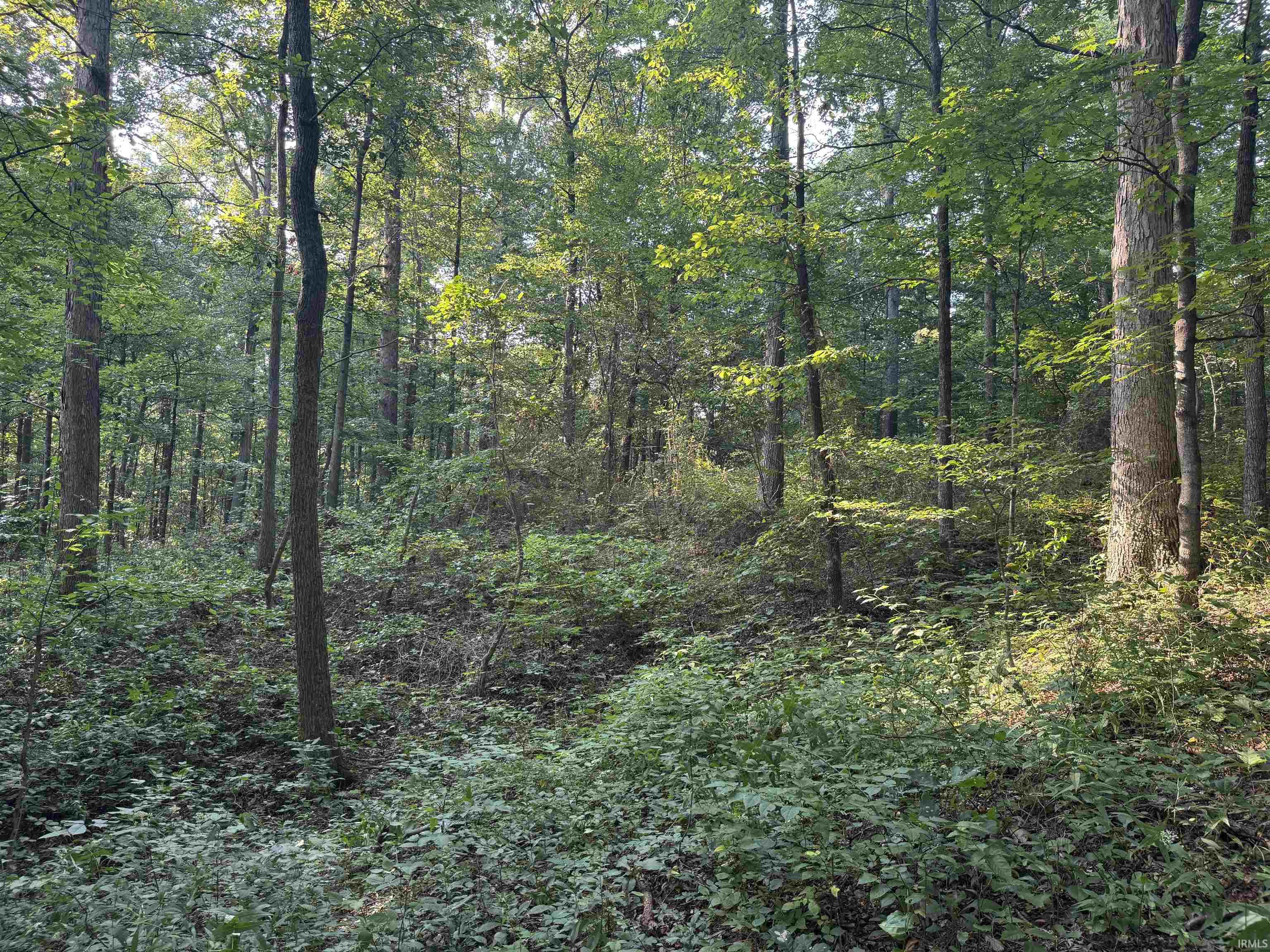 Brushy Fork Road Tell City, IN 47586 - Photo 37 of 47 Gallery Image 37