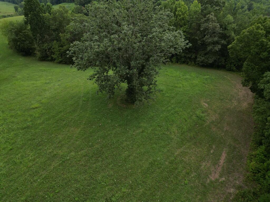 9999 Yates Road London, KY 40741 - Photo 9 of 17 5ABEE48A-5534-4A4E-AA07-6188A28361E3_1_1