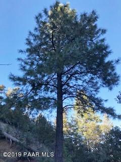 8230 South Breezy Pine Road Mayer, AZ 86333 - Photo 1 of 8 a view of a yard