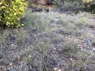 8230 South Breezy Pine Road Mayer, AZ 86333 - Photo 2 of 8 a view of a yard with a tree