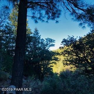 8230 South Breezy Pine Road Mayer, AZ 86333 - Photo 5 of 8 a view of a garden