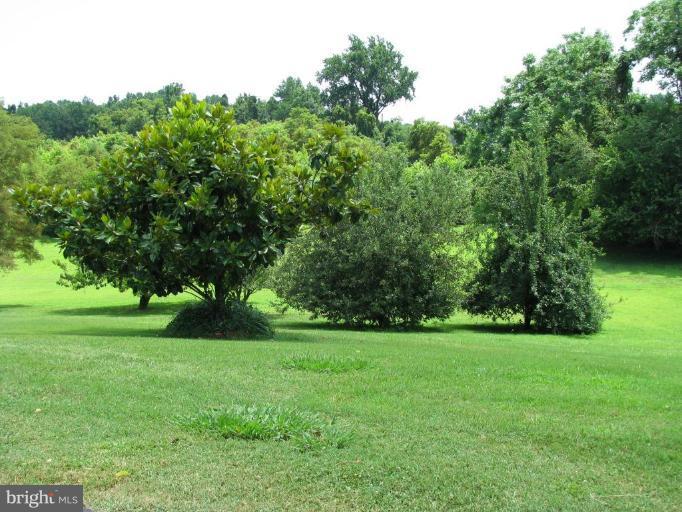 13478 Molly Berry Road Brandywine, MD 20613 - Photo 21 of 26 Side Yard View