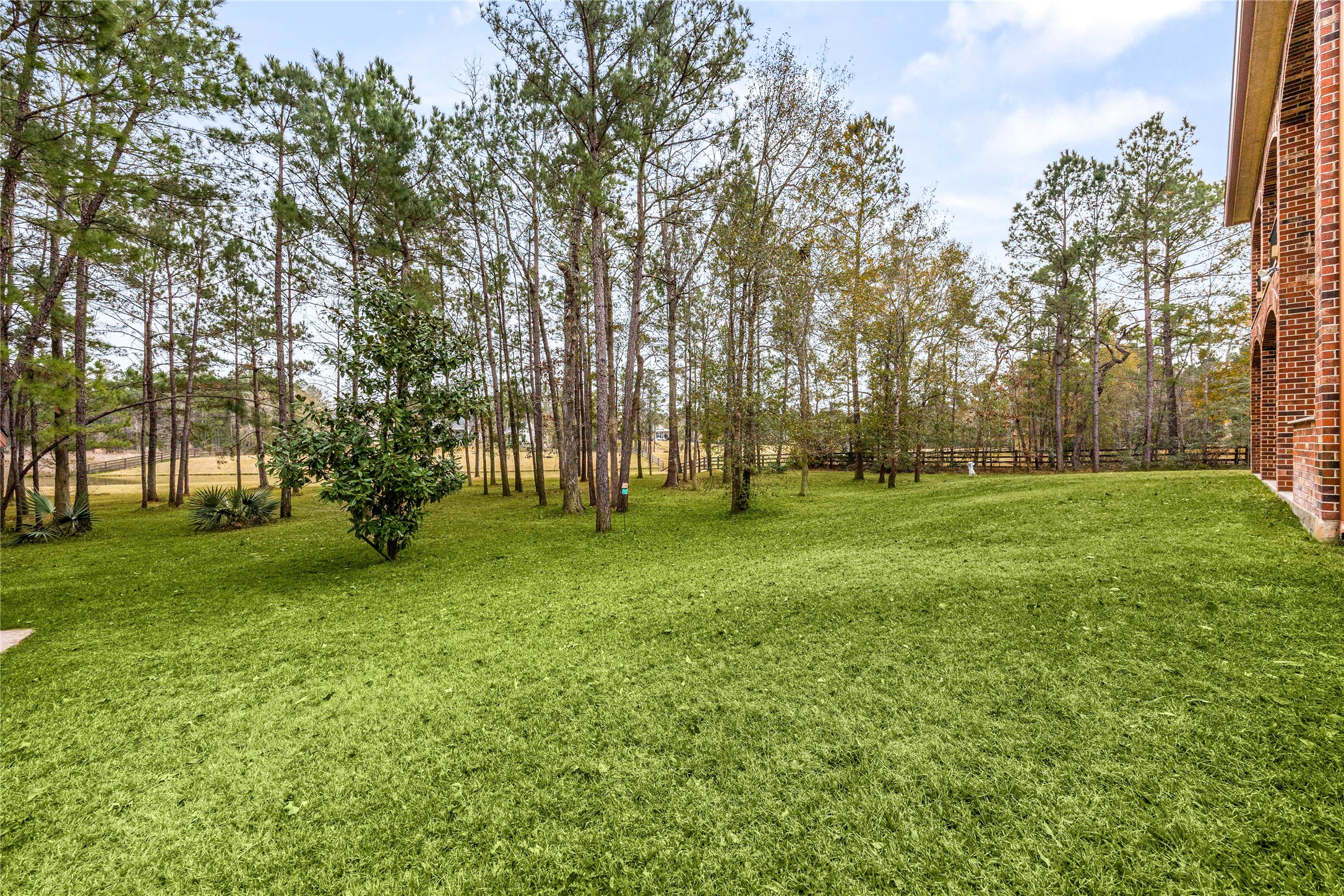23421 Cannondale Loop Montgomery, TX 77316 - Photo 37 of 47 Expansive, tree-lined backyard offering a peaceful, park-like setting with plenty of open green space for outdoor activities, entertaining, or future enhancements. Mature trees provide natural shade and privacy, creating an ideal backdrop for relaxed living and enjoying the outdoors year-round.