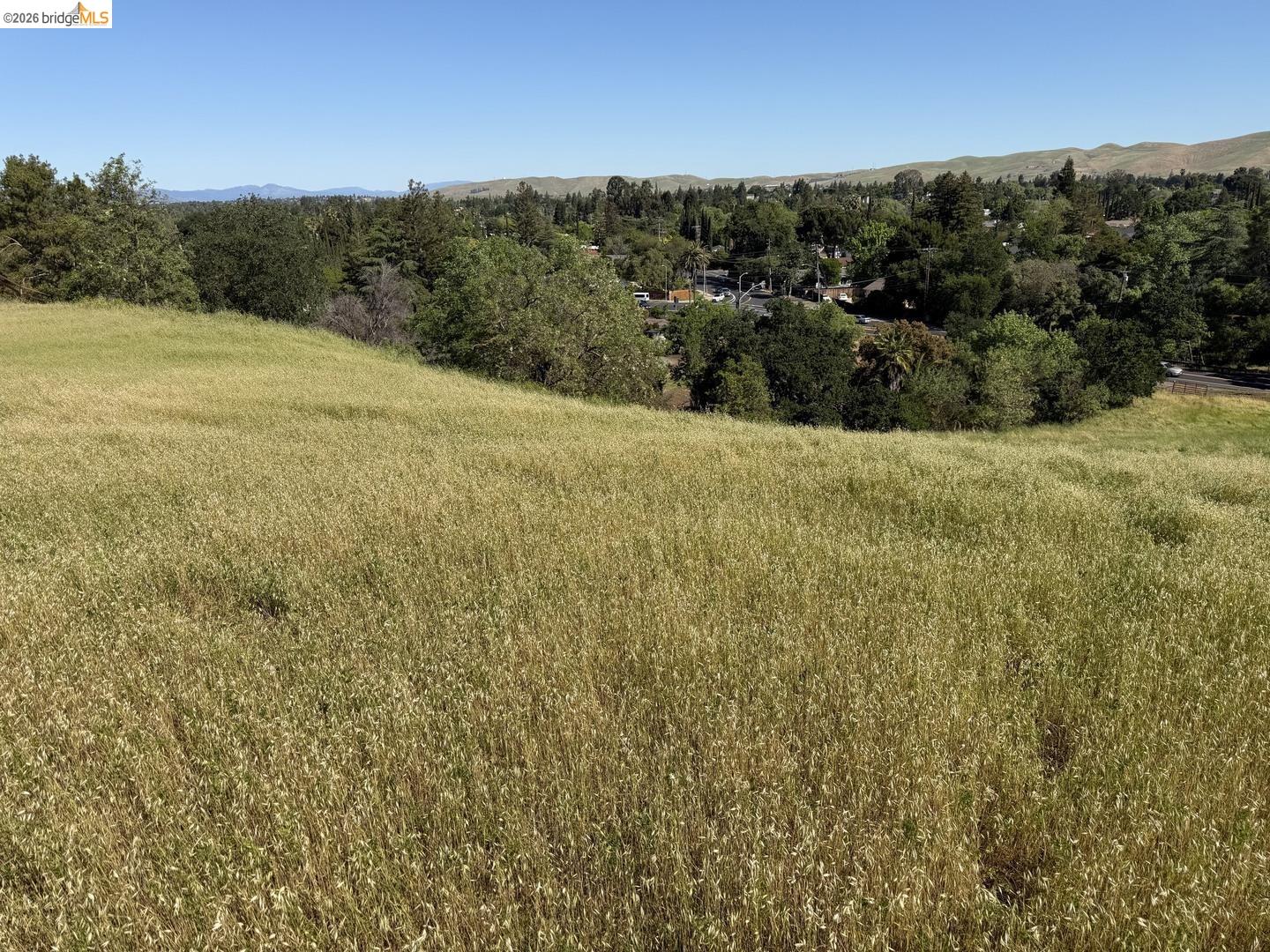 0 Cowell Road Concord, CA 94518 - Photo 10 of 12 Expansive hillside property featuring natural golden grasses and distant foliage