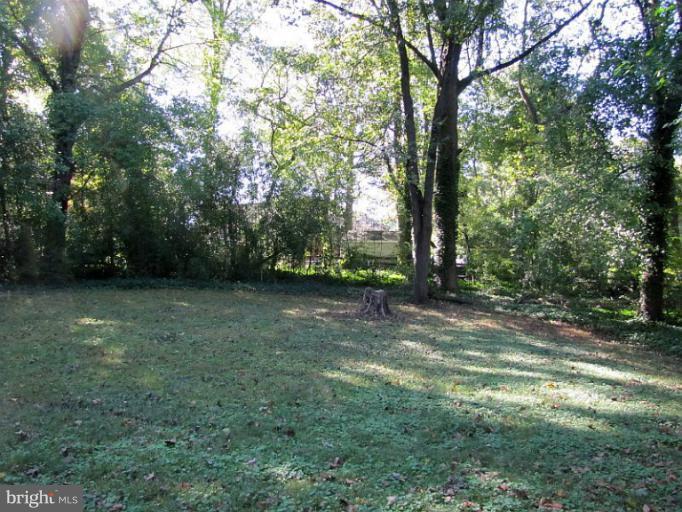 5931 Chesterbrook Road McLean, VA 22101 - Photo 5 of 15 Level Yard on .57 Acres