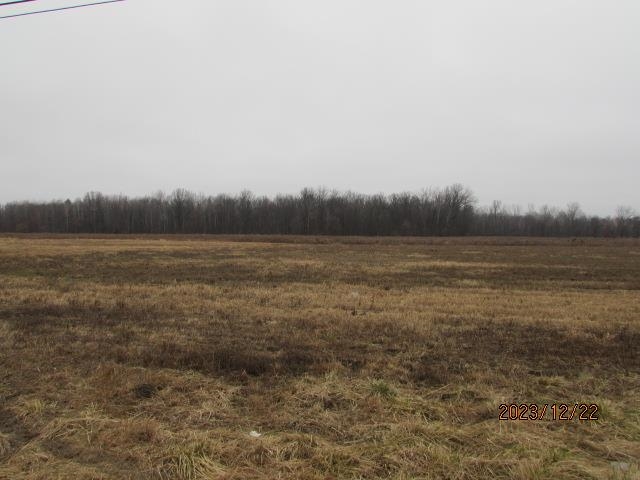 Tbd East Pickard Road, Unit LOT #3 Mount Pleasant, MI 48858 - Photo 3 of 6