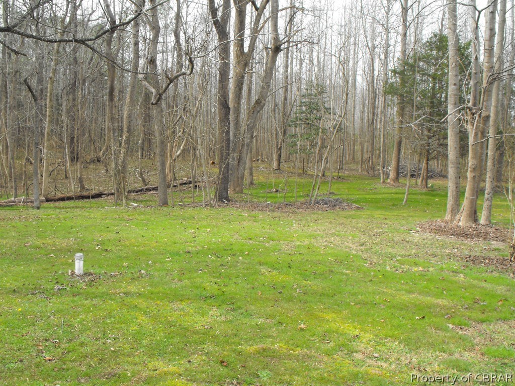 2441 Lees Neck Farm Road Saluda, VA 23149 - Photo 27 of 28 Gallery Image 27