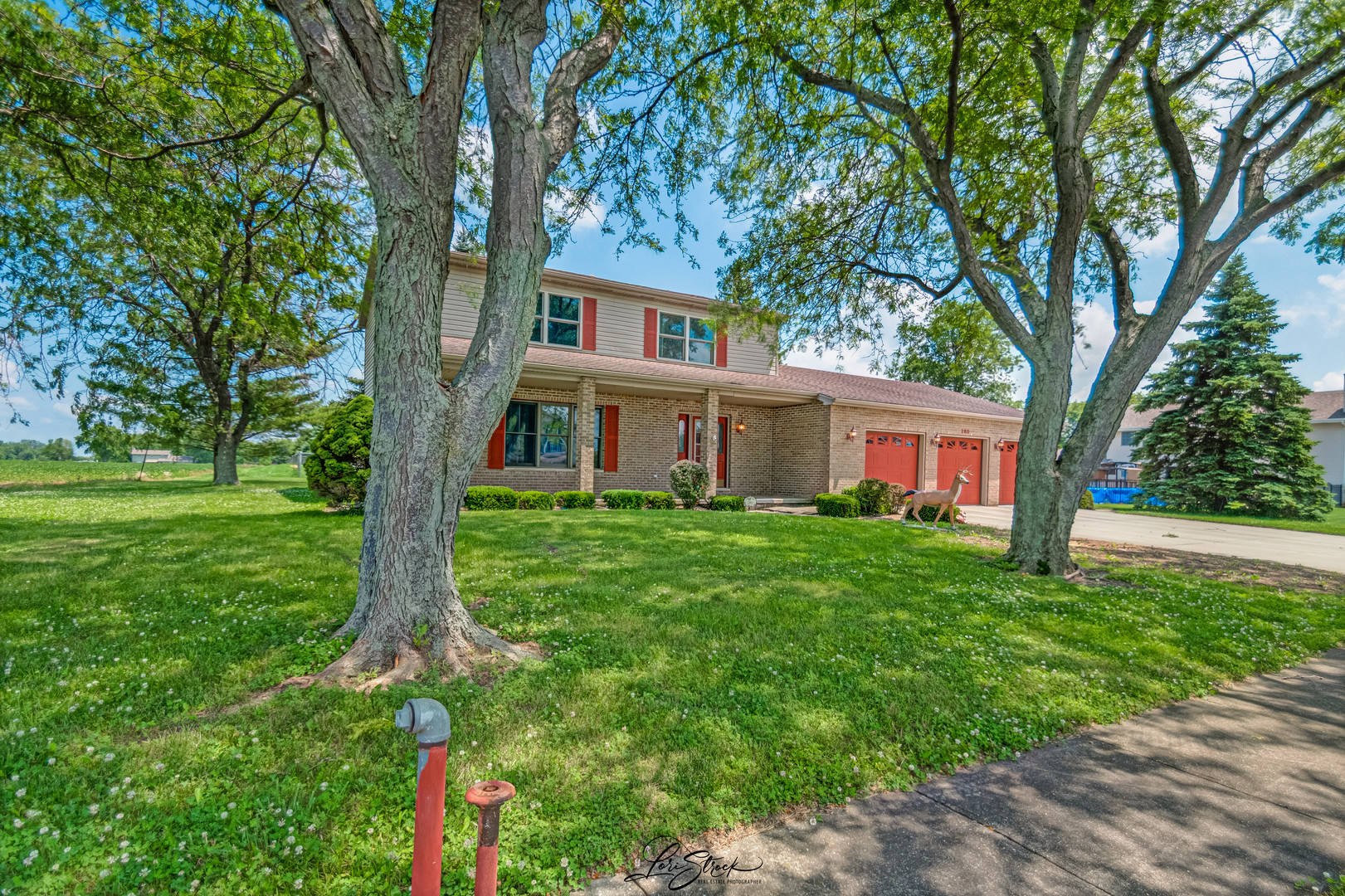 280 Park Chebanse, IL 60922 - Photo 3 of 27