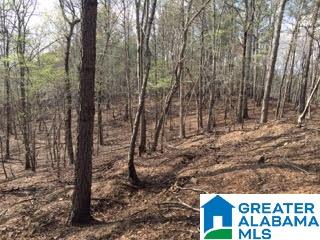 Pioneer Way, Unit 2 Sterrett, AL 35147 - Photo 9 of 24
