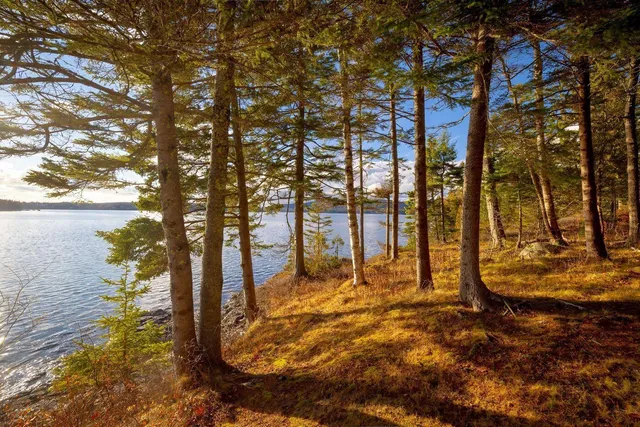 $8,000,000 | 13 Smallidge Point Road, Mount Desert, ME 04662