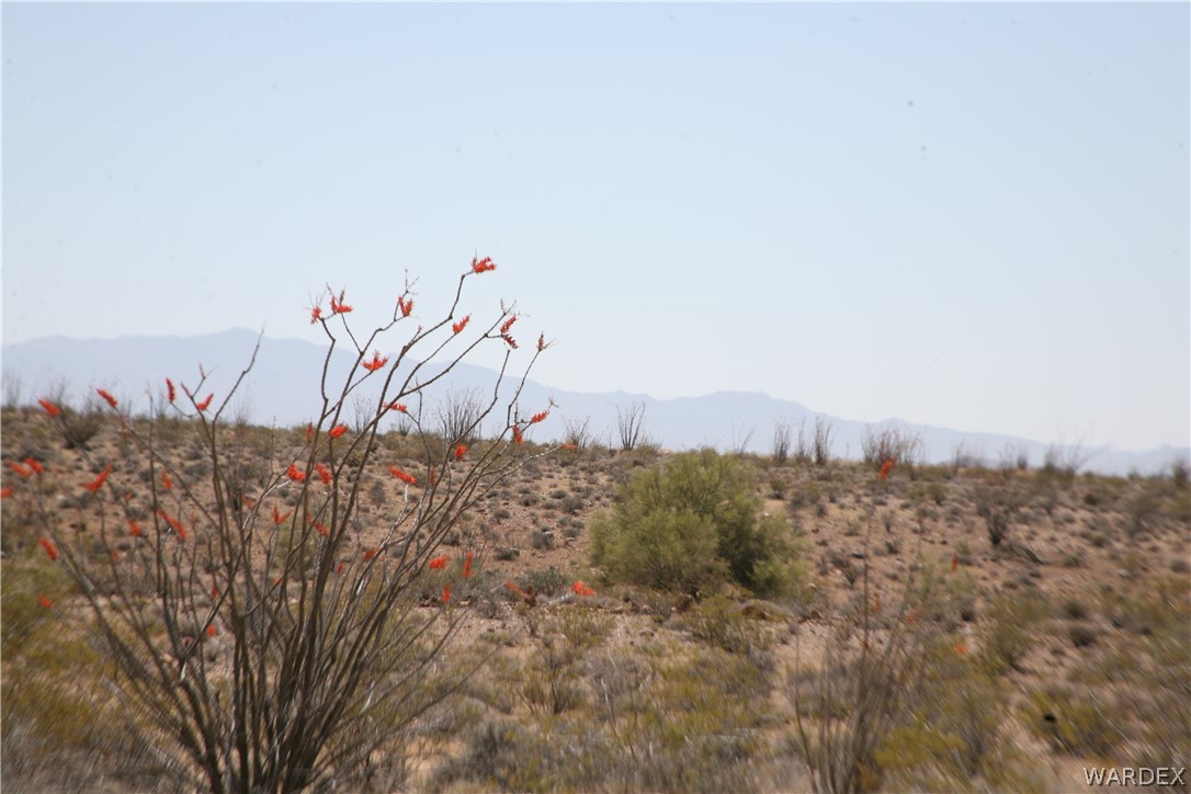 245-24-067a Lorton Road Yucca, AZ 86438 - Photo 17 of 42