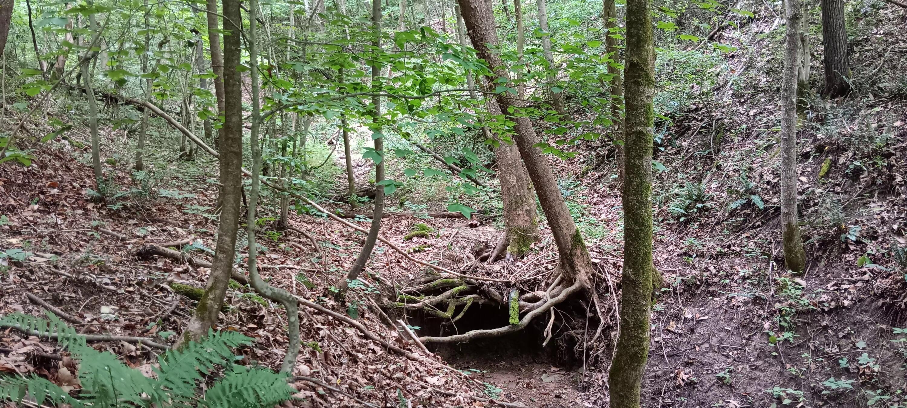 0 Orpheus-Keystone Road, Unit CABIN AT CAVES AT KEYSTONE) Thurman, OH 45685 - Photo 24 of 33 25