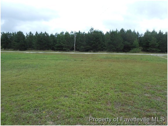 1591 Loop Road Raeford, NC 28376 - Photo 7 of 10 a view of a field with trees in the background